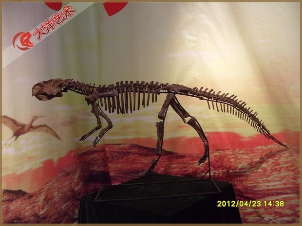 07-11a63d9261 吉林博物馆恐龙互动展区项目实景 7