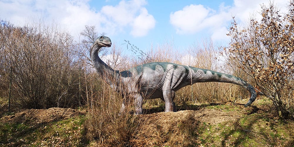 10-110b9b13da 捷克 Dino Live 天然恐龙公园项目实景 10