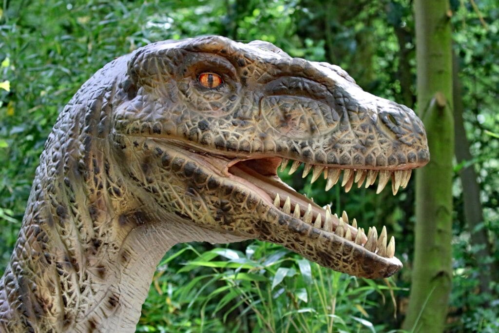 02-b6e6a3815c 英国 Dinopark 恐龙公园项目实景 2