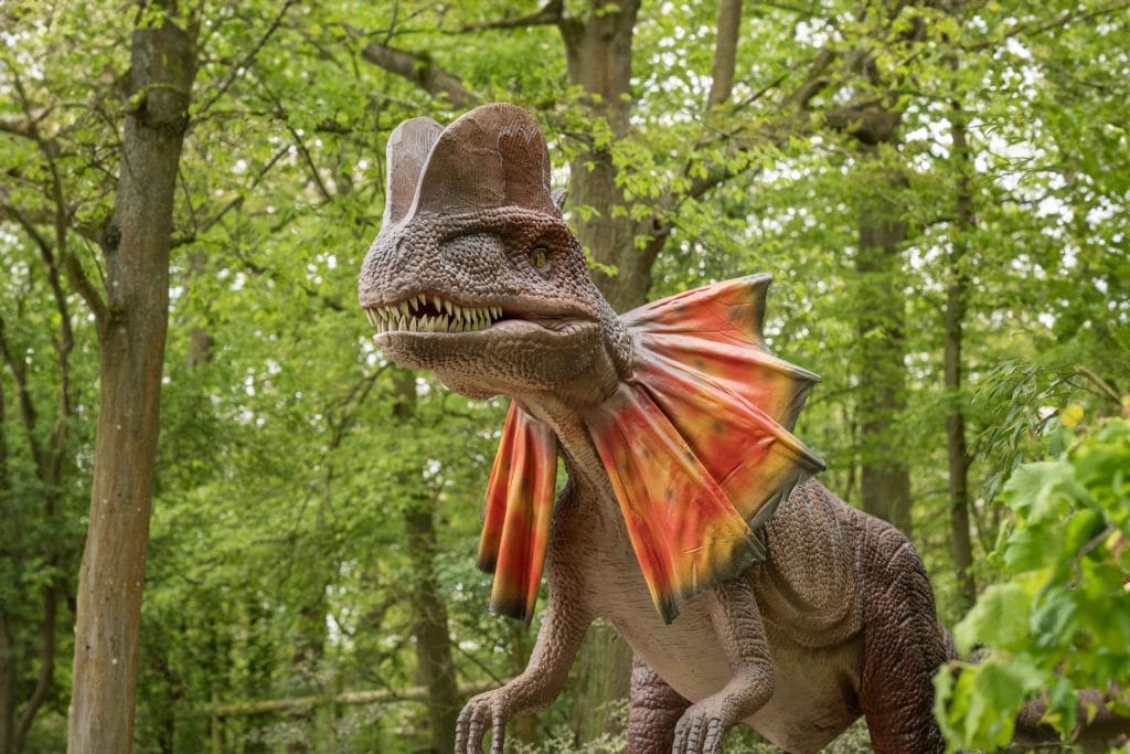 05-bded6e8dee 英国 Dinopark 恐龙公园项目实景 5
