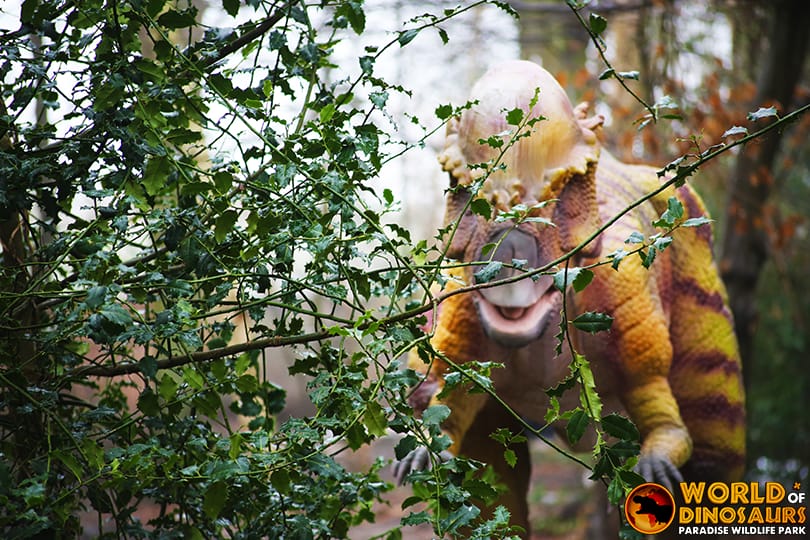 12-e0dad44c50 英国 Dinopark 恐龙公园项目实景 12